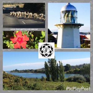 Wairoa Kotare eco village hawkes bay new zealand light house