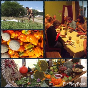 equinox and harvest festival celebration Kotare village new zealand