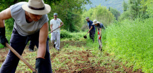 Permaculture in Greece today