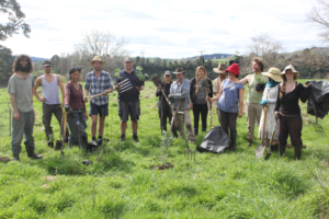 planting